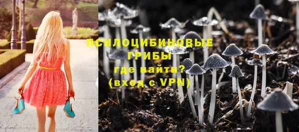синтетический гашиш Балахна