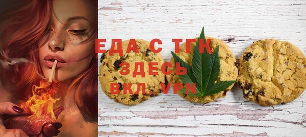 индика Арсеньев