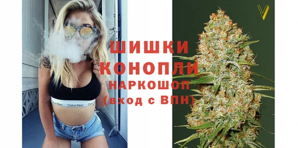 сатива Армянск