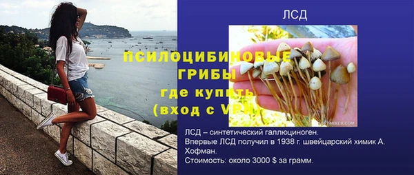 apvp Баксан