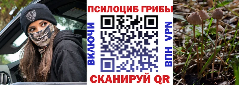 Псилоцибиновые грибы Psilocybine cubensis  Лебедянь 